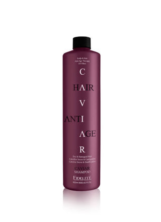 Imagen de FIDELITE SHAMPOO CAVIAR SECOS Y CASTIGADOS 900ml.