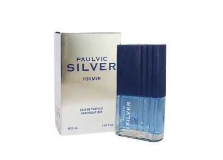 Imagen de PAULVIC PERFUME SILVER X 50ML