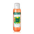 Imagen de SHAMPOO CÍTRICO X 400 ML