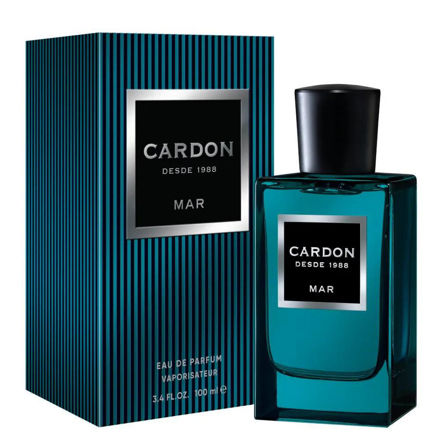 Imagen de PERFUME CARDON MAR MEN EDP X 100ML