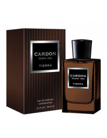 Imagen de PERFUME CARDON TIERRA MEN EDP X 100ML