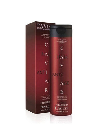 Imagen de FIDELITE SHAMPOO CAVIAR TEÑIDOS X 250GR