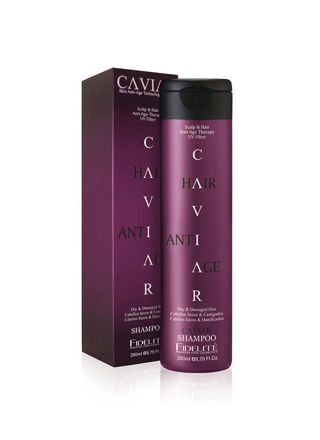 Imagen de FIDELITE SHAMPOO CAVIAR SECOS X 250GR